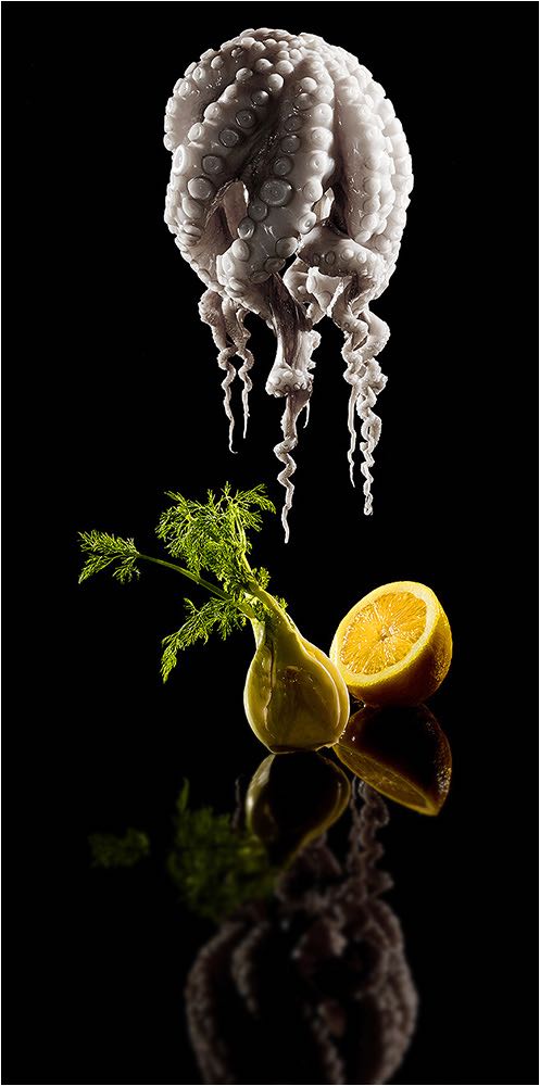  Food Fotografie. Tintenfisch hängend mit Zwiebel und Zitrone als Studie. Fotografiert mit Digital Mittelformatkamera. 