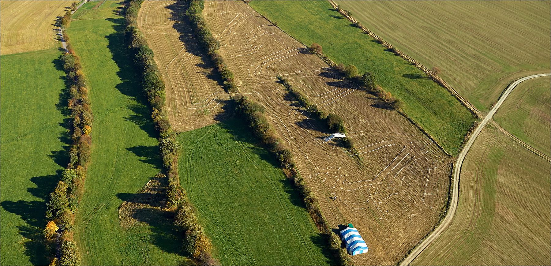  Luftbildfotografie. Linien und Strukturen aus der Luft gesehen. Ein Feld mit Buschreihen im Erzgebirge. Fotografiert mit analog Mittelformattechnik. Copyright by Fotostudio Jörg Riethausen 