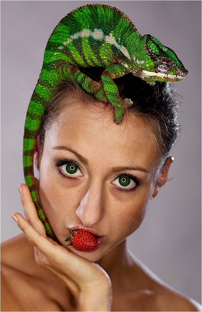  Aussergewöhnliches Porträt eines Modelles mit Chamäleon auf dem Kopf und einer Erdbeere im Mund. Aufgenommen im Studio Chemnitz mit Ringlicht und Studioblitzanlage. Copyright by Fotostudio Jörg Riethausen 